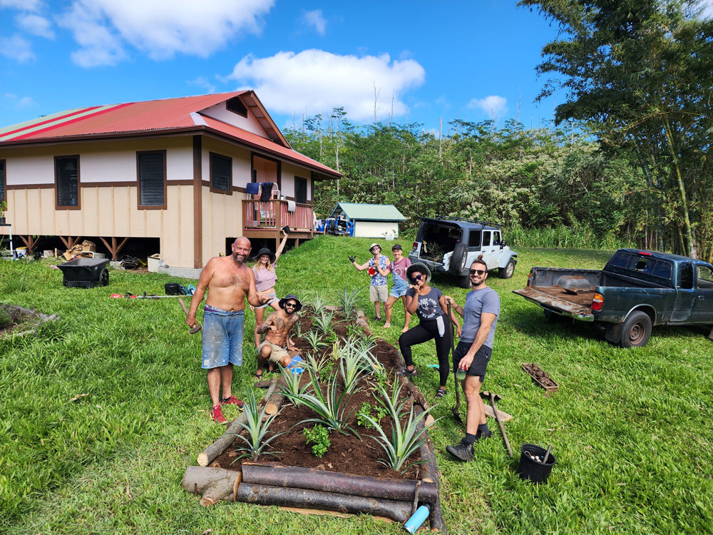 Fruit Trees