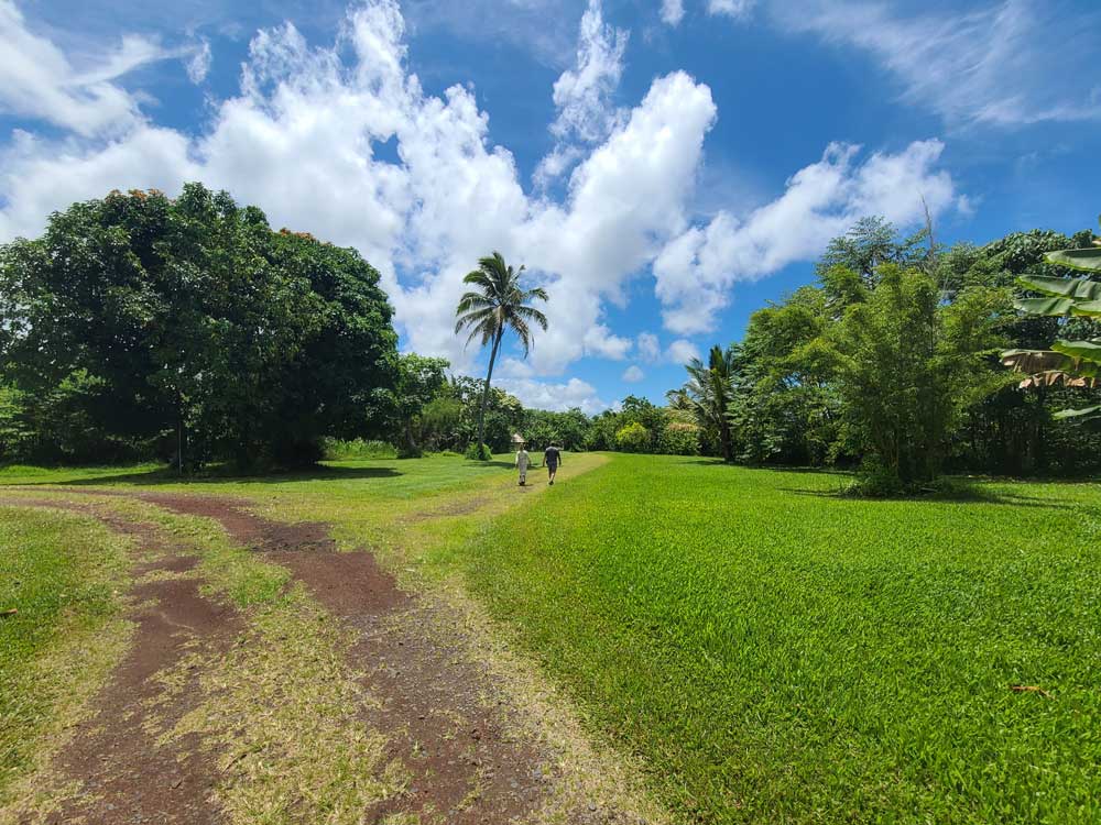 Farm Landscape